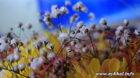 IMG_1963