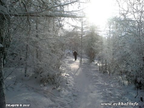 Дорожка (42)