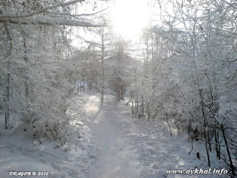 Дорожка (41)