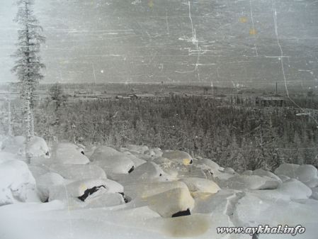 Фото без названия