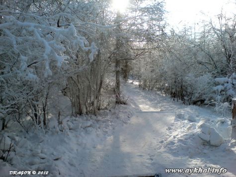 Дорожка (45)