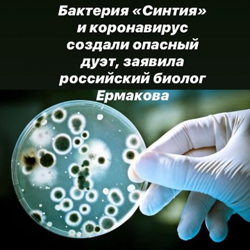 Искусственно созданная бактерия с именем Синтия – биологическое оружие нового поколения
