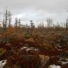 DSCN66333.jpg