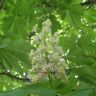 DSC02593.JPG