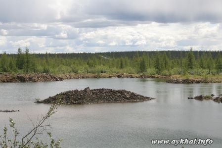 Каменный оазис