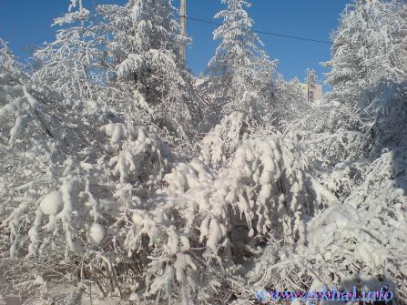 Зарисовки