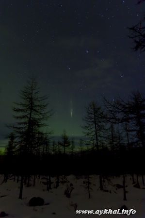 Звездная ночь