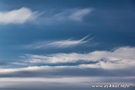 IMG_1105