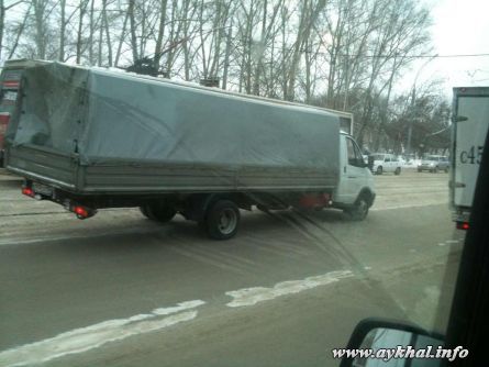 Газель