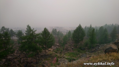 Тарзанка