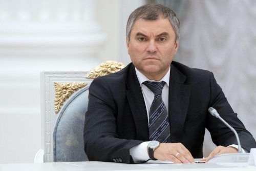 Володин поручил изучить целесообразность присутствия в ВТО, МВФ и ВОЗ