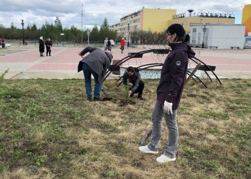 Молодые деревья на Соборной площади в Айхале