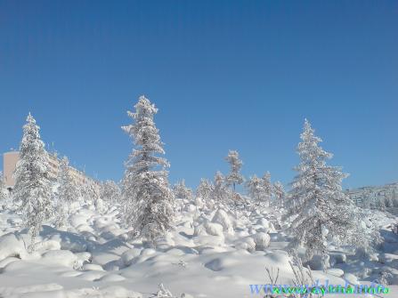 Зарисовки