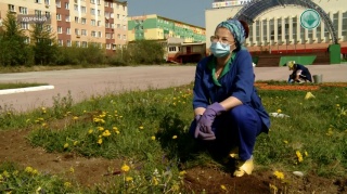 В Удачном за дело взялись озеленители