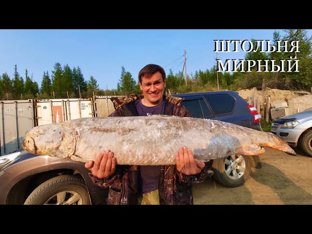 Штольня Мирный