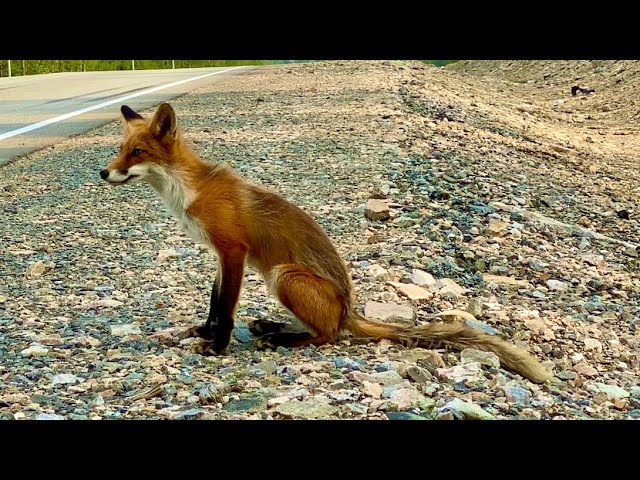 Якутия (большое путешествие часть 14)